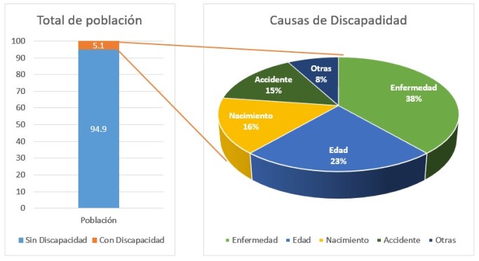 grafica-discapacidad