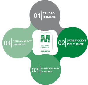 Elemetos Distintivo M
