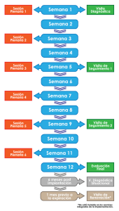 Proceso para la Obtención del Distintivo M. 12 semanas.