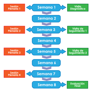 Proceso Obtención Punto Limpio