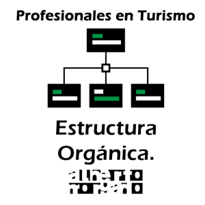 Estructura Orgánica