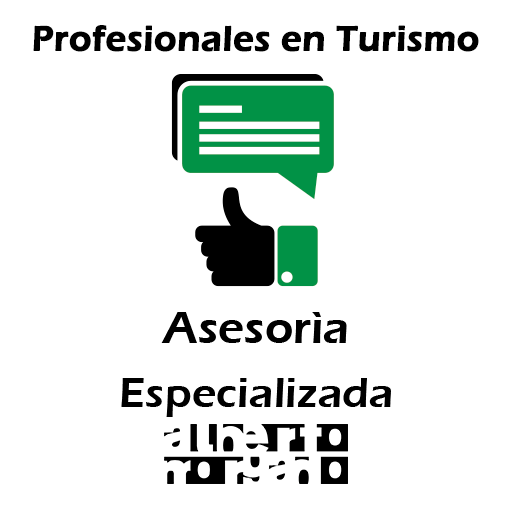 Icono Asesoría Especializada