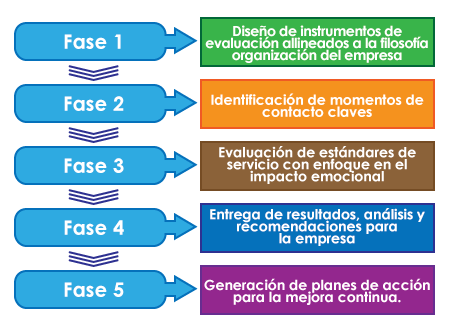 1. Diseño de instrumentos de evaluación
2. Identificacion de momentos claves.
3. Evaluación de etándares
4. Entrega de resultados
5. Generación de planes para mejora continua