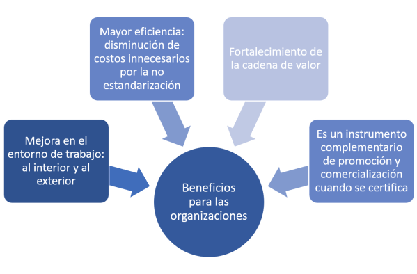 * Mejora en el entorno de trabajo al interior al exterior
* Mayor eficiencia: disminución de costos innecesarios por la no estandarización
* Fortalecimiento de la cadena de valor
* Es un instrumento complementario de promoción y comercialización cuando se certifica